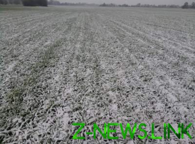 Еще три области Украины накрыло снегом	