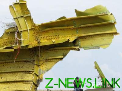 Грузия поможет расследовать причины катастрофы MH17 