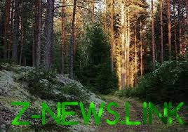 Во Львовской области в лесу обнаружили тело 19-летнего парня