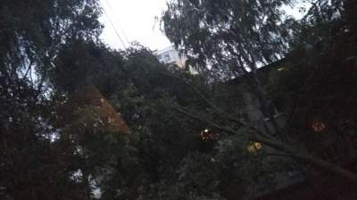 Буря на Львовщине: появились новые фото разрушений
