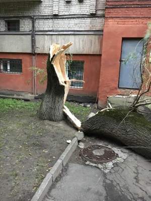 Буря на Львовщине: появились новые фото разрушений