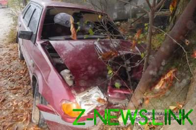 На Тернопольщине ВАЗ врезался в дерево: погиб водитель