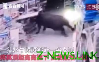 Разъяренный буйвол вторгся в китайский супермаркет. Видео