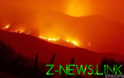 Лесные пожары в Испании и Португалии унесли жизни 39 человек