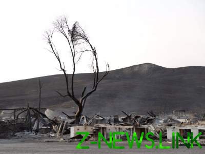 Руины и пепел: Калифорния после масштабного пожара. Фото