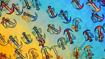 Необычные макроснимки, сделанные микроскопом. Фото