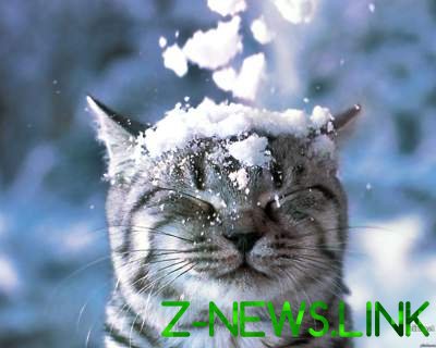 Харьковчанам пообещали первый снег уже в среду