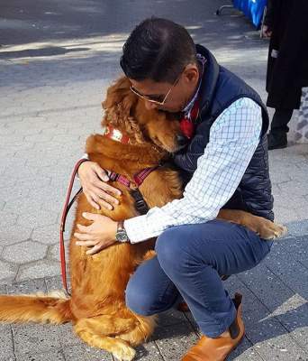 «Собака-обнимака», живущая в Нью-Йорке, стала звездой Сети