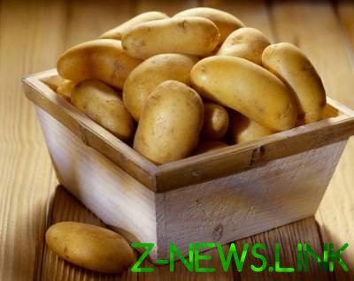 Эксперты раскрыли неожиданные свойства картофеля