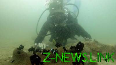 Таинственная находка: на Курилах обнаружены тридцать новых морских существ