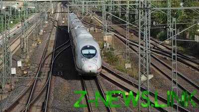 В Германии кабаны остановили высокоскоростной поезд