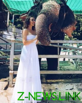 Анна Седокова, надев платье невесты, обнималась со слоном
