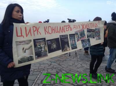 Зоозащитники пикетировали цирк в Днепре. Видео