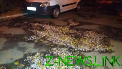 Кварталы Киева засыпало искусственным "снегом"