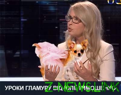 Соцсети поздравили Тимошенко с ДР едкими фотожабами
