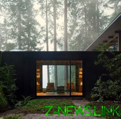 Необычно: лесной домик в США. Фото