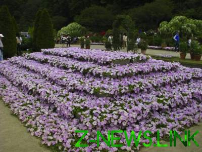 Этот японский парк цветов знаменит во всем мире. Фото