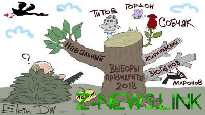 В Сети появилась забавная карикатура на президентские выборы в России 