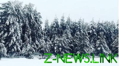 На Луганщине выпало аномальное количество снега. Видео