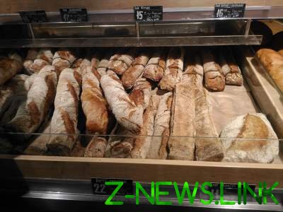 Блогер высмеял миф об украинцах, отбирающих хлеб у голубей 