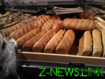 Блогер высмеял миф об украинцах, отбирающих хлеб у голубей 