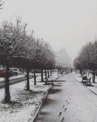 Зимняя сказка: впечатляющие кадры заснеженного Львова 