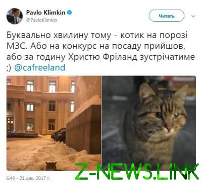 Климкин показал кота, явившегося в МИД на «собеседование»