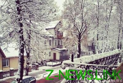 Сильнейший снегопад в Польше: 300 тысяч человек остались без электричества 
