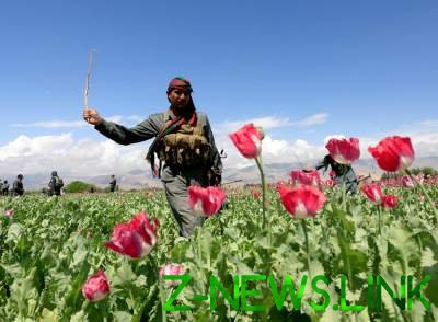 Удивительные кадры жизни в Афганистане. Фото 
