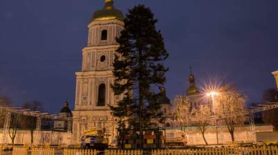 Воры, поджигатели и ветер. Какие курьезы происходили с новогодними елками в Украине и мире