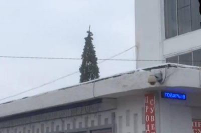 В России новогоднюю елку установили на крыше
