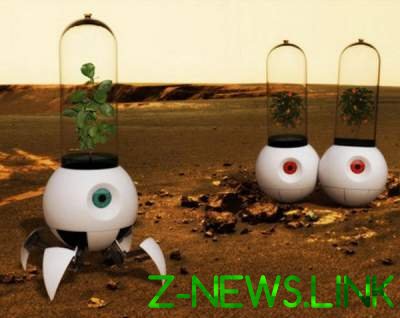 Ученые планируют высадить клубнику на Марсе 