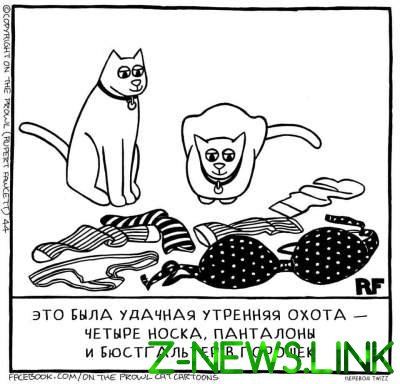 Жизнь глазами котов в смешных иллюстрациях
