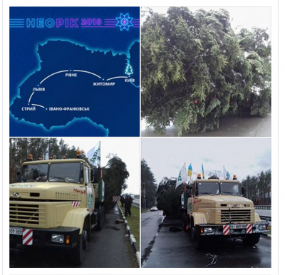 Главную елку страны доставили в Киев