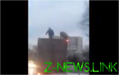 Под Киевом мужчина «боролся» со свиньей на крыше фуры. Видео