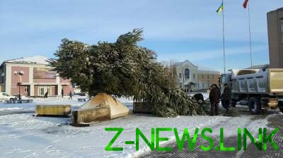 На Черкассчине главную елку города свалил ветер