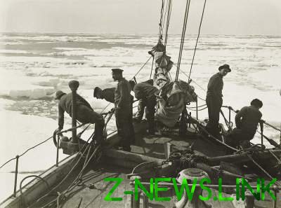 Антарктида в уникальных снимках начала прошлого века. Фото