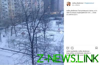 Зимняя сказка: в соцсетях активно делятся снимками заснеженного Киева