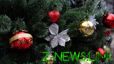 В Латвии двое россиян украли украшения с елки