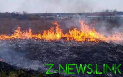 Украинцам угрожают пожары