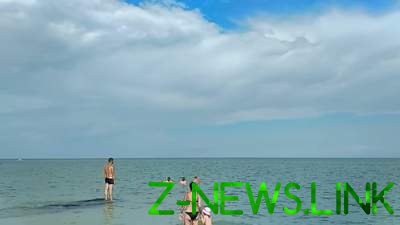 На пляже в Кирилловке заметили стаю дельфинов. Видео