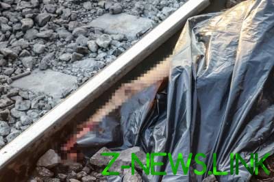 В Киеве девушка погибла под колесами поезда