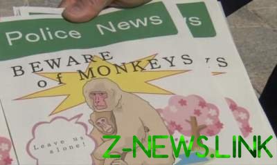В Японии туристов начали кусать обезьяны