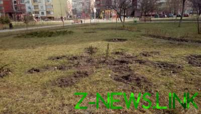 Из киевского сквера за ночь украли десятки деревьев 