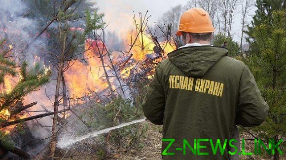 Оперативный штаб Рослесхоза поручил региональным лесным ведомствам стабилизировать пожар