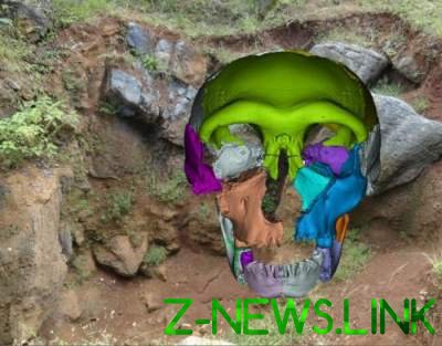 Ученые раскопали череп, опровергающий теорию происхождение человека