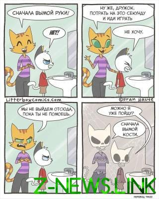 Мама-кошка стала героиней забавных комиксов