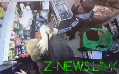 В России покупатель напал на продавщицу киоска. Видео