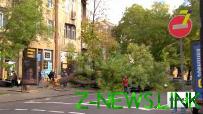 Ураган в Одессе: деревья падают прямо на машины 
