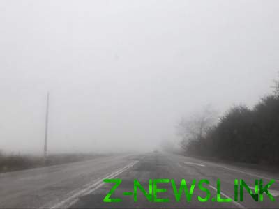Утренний туман в Украине: в Сети делятся впечатляющими снимками